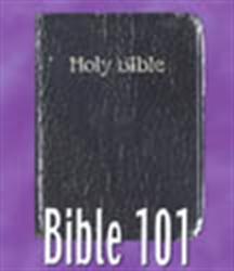 Picture of Bible 101  A Beginners Guide To Understanding the Bible